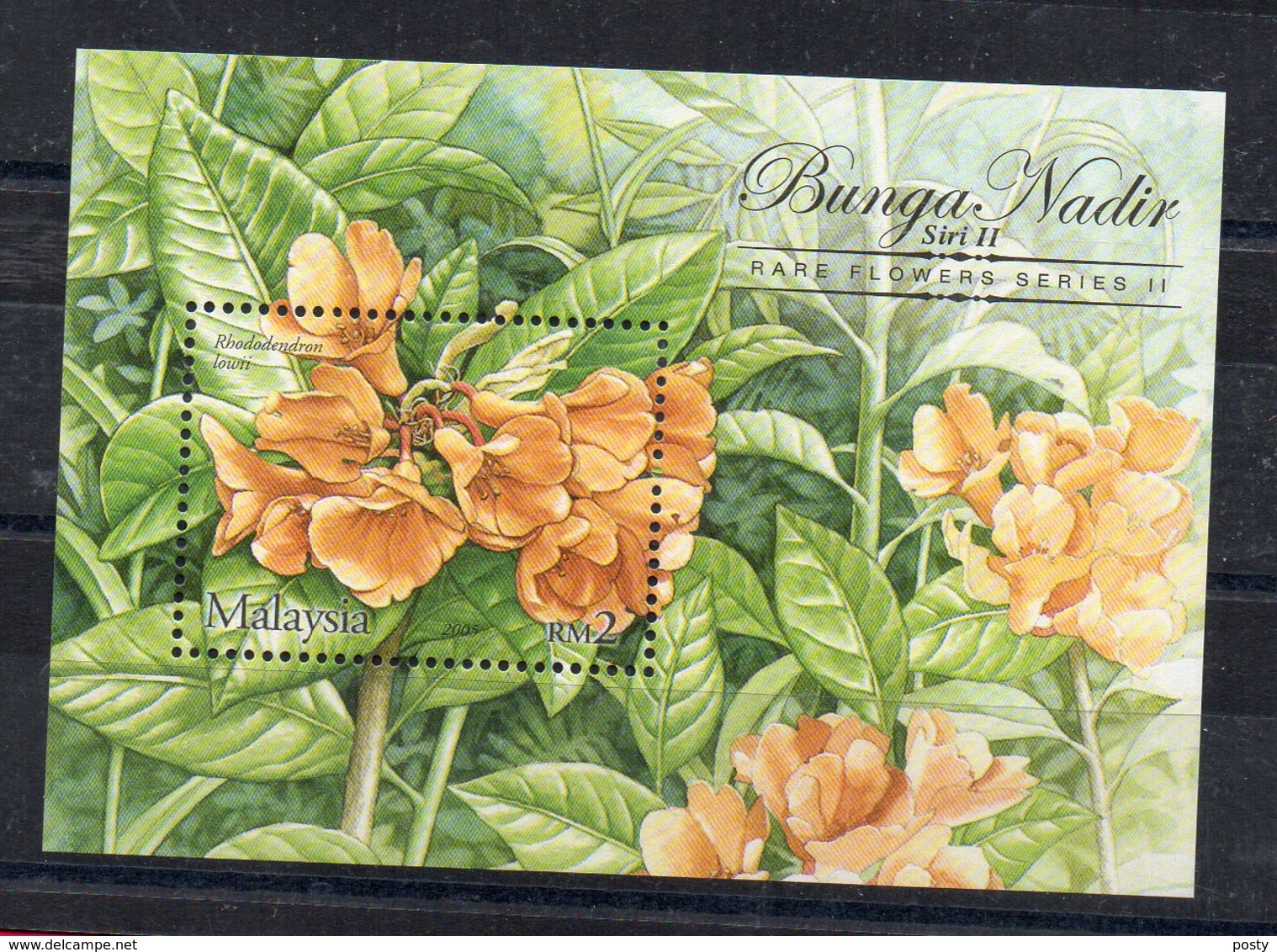 MALAISIE - MALAYSIA - FLEURS - FLOWERS - BUNGA NADIR - B/F - M/S - 2005 - - Malaysia (1964-...)