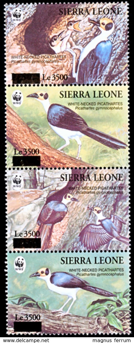 1994 Sierra Leone, Birds, White-necked Picathartes, WWF, Overprint, 4 Stamps,MNH - Unused Stamps