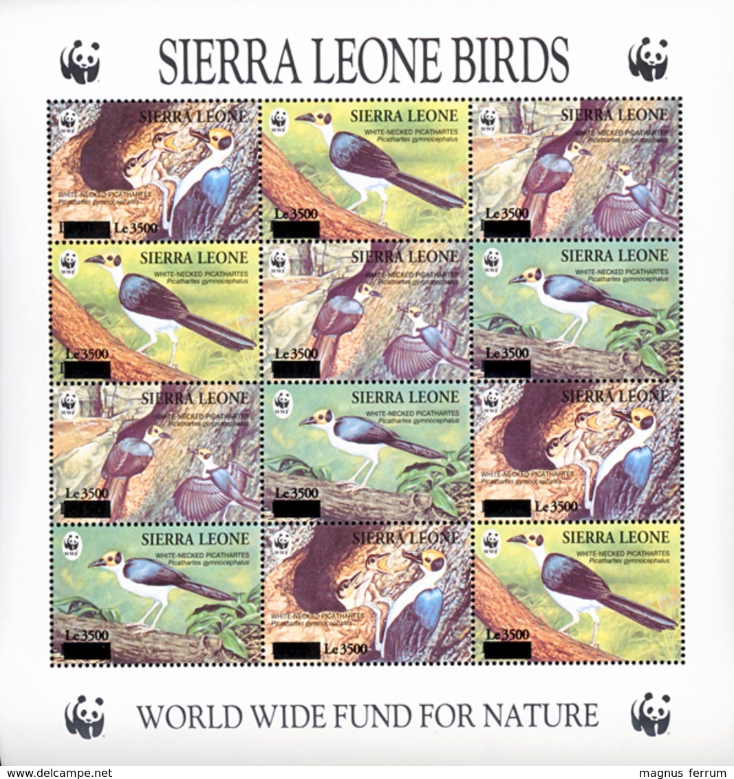 1994 Sierra Leone, Birds, White-necked Picathartes, WWF, Overprint, Sheet, MNH - Unused Stamps