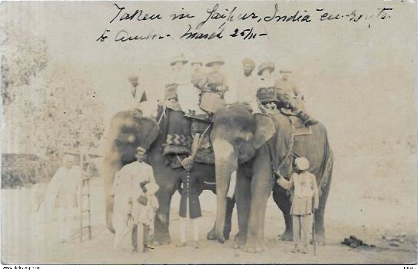 CP éléphant ELEPHANT écrite  Carte Photo RPPC Inde India ? - Olifanten