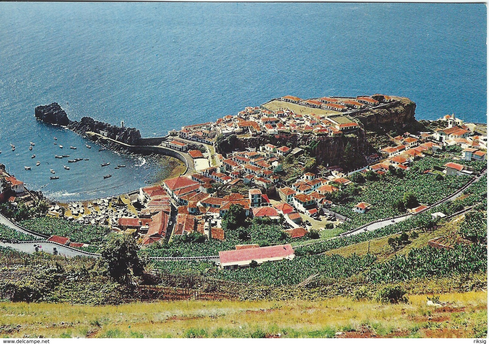 Madeira - Camara De Lobos.   Portugal.  # 07721 - Madeira