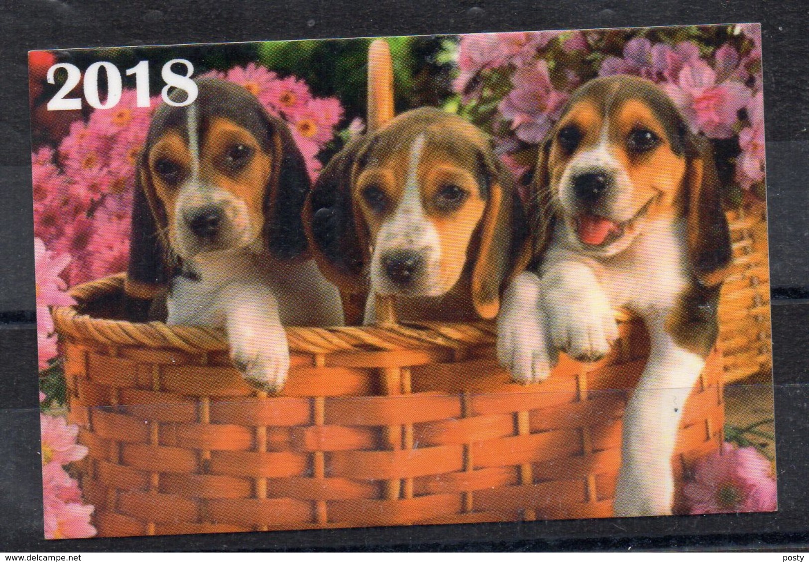 CALENDRIER - PETIT FORMAT - 2018 - LITUANIE - LITHUANIA - CHIENS - DOGS - - Small : 2001-...