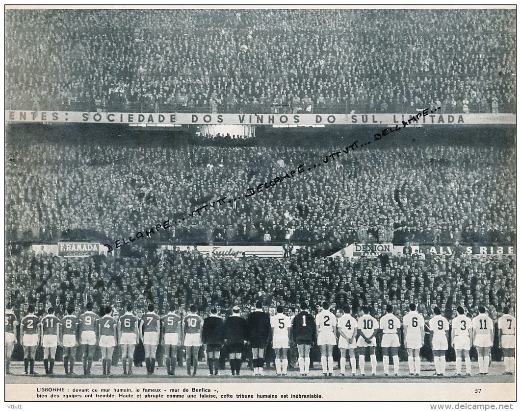 FOOTBALL : PHOTO, LE STADE DE LA LUZ, BENFICA DE LISBONNE, PORTUGAL, LE MUR, COUPURE REVUE (1964) - Collections