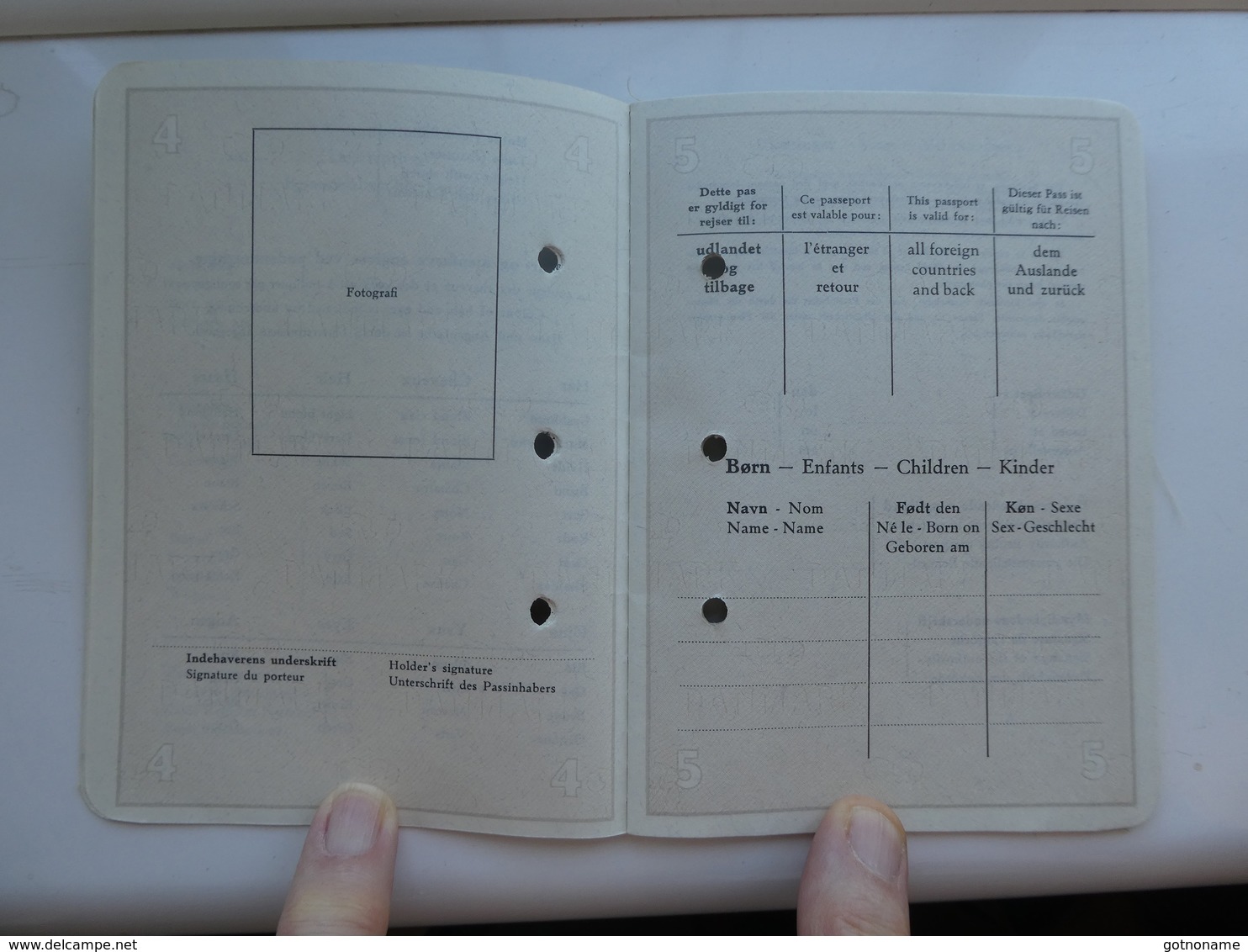 Passeport, Passport, Reisepass, Pasaporte Du Danmark, Années 1980, Document En Blanc, Pas De Frais Paypal - Documents Historiques