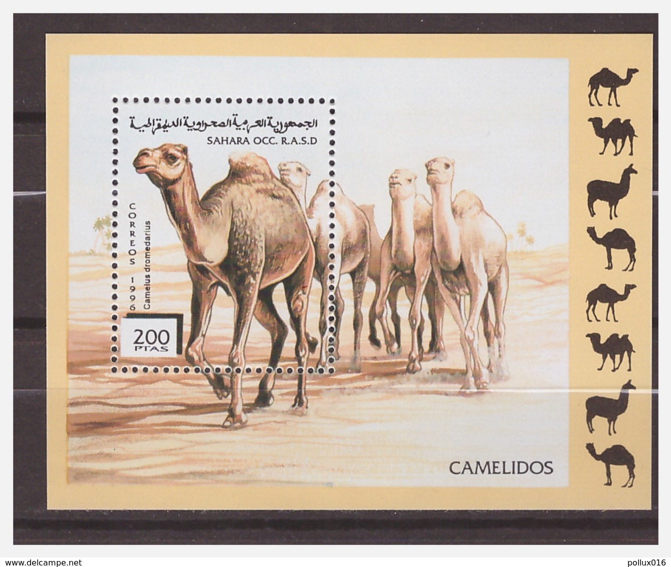 0481 Sahara 1996 Kamelen Camels S/S MNH - Autres & Non Classés