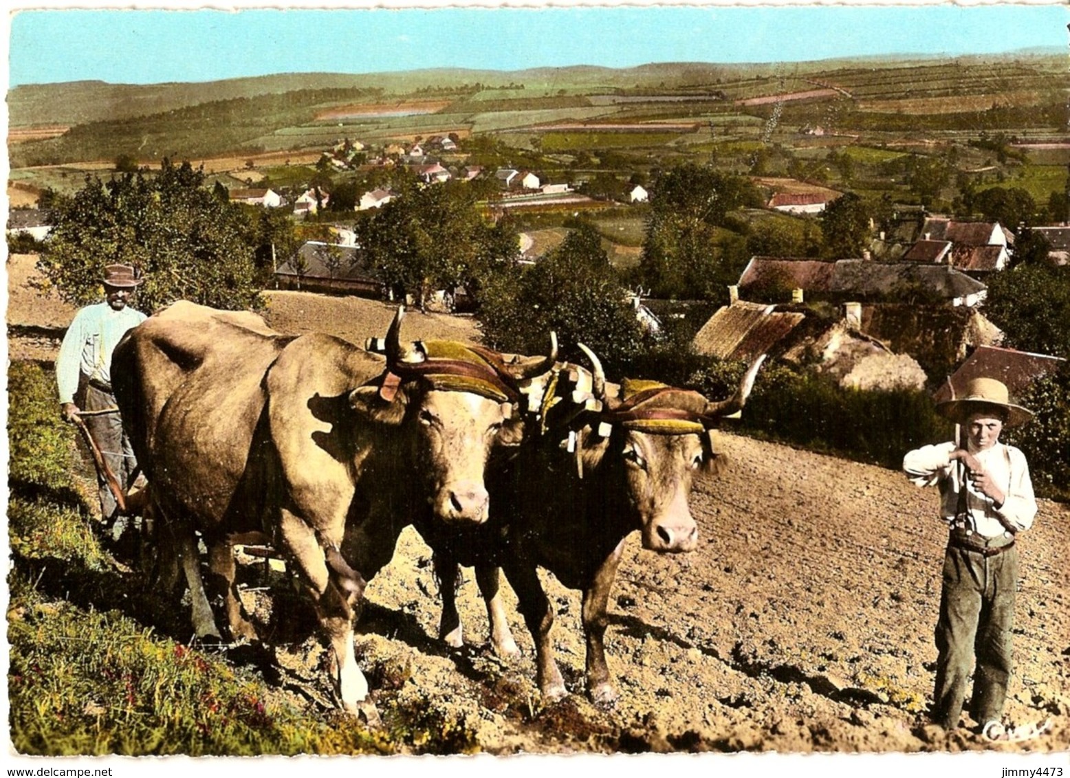 CPM Dentelées - Le Labourage - Scène Morvandelle - LE MORVAN Bourgogne -  N° 15 - Imp. COMBIER - Attelages