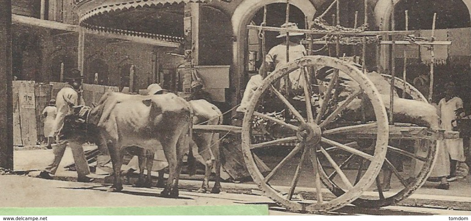 Guadeloupe°°°° Attelage De  Boeufs (Rare -supposée Située à Pointe à Pitre ) - Pointe A Pitre