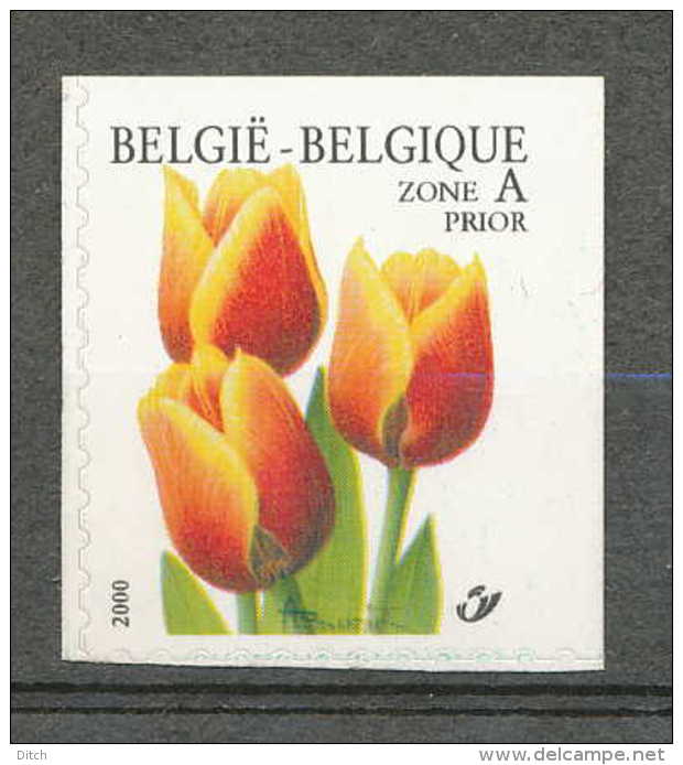 D- [154191] **/Mnh-BELGIQUE 2000 - N° 2907, Tulipe Triomphe, ND/Imperf En Haut Et à Droite, Fleurs.SNC. - Autres & Non Classés