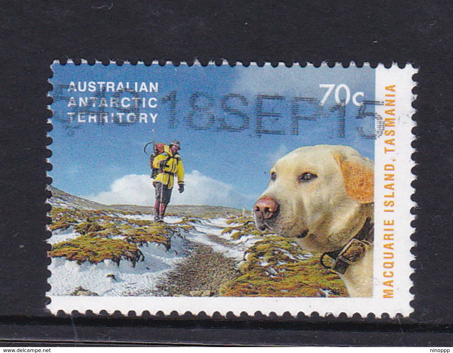 Australian Antarctic Territory  S 228 2015 Dog Saved Macquarie Island,70c Used, - Used Stamps