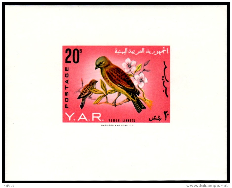 ~~~ Yemen 1965 - Fauna Birds - Mi. Block 34B IMPERF  ** MNH OG - CV 35 Euro  ~~~ - Yemen