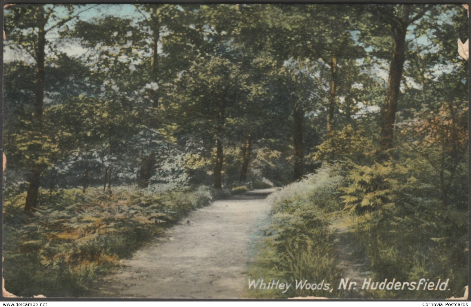 Whitley Woods, Near Huddersfield, Yorkshire, 1916 - Magalden Series Postcard - Other & Unclassified