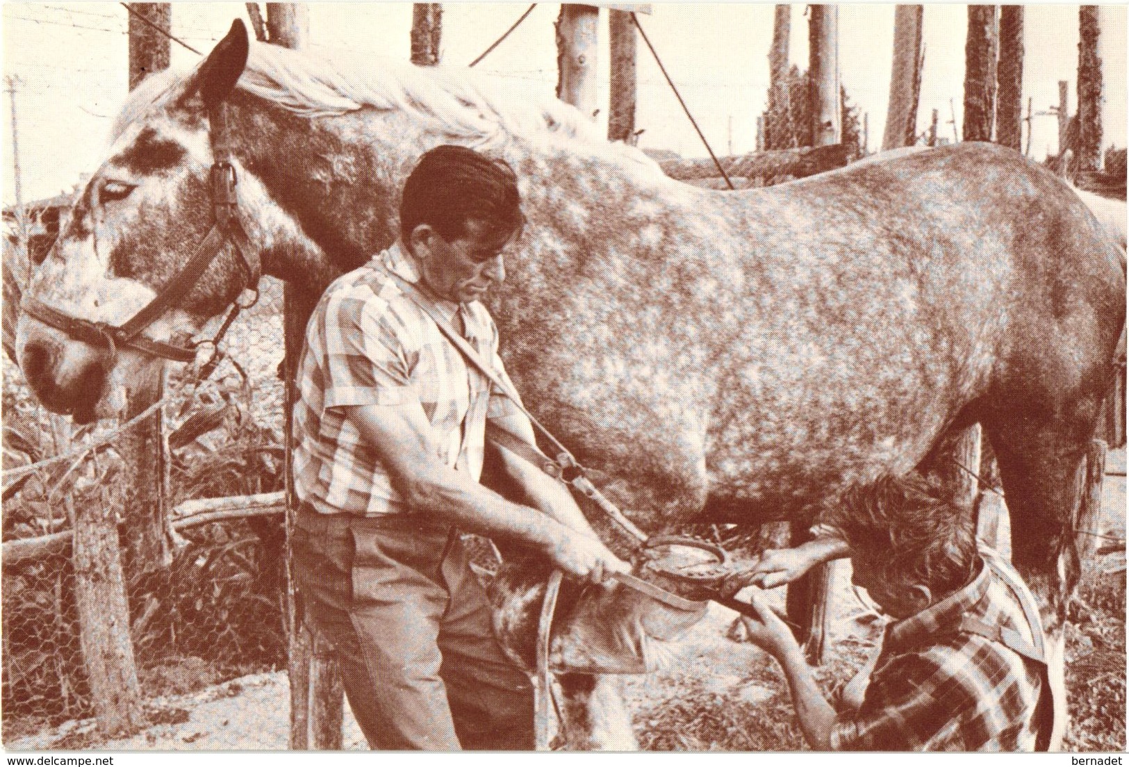 72 .. LAIGNE EN BELIN  .. LES VIEUX METIERS BELINOIS .. LE MARECHAL FERRANT .. AUTOGRAPHE PIERRE BONTE - Other & Unclassified