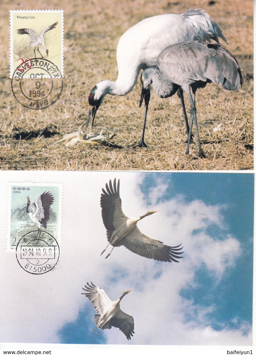 CHINA 1994-15 Stamps MC-18 Maximum Postcard Cranes Jointly Isssued USA Bird - Cartoline Maximum