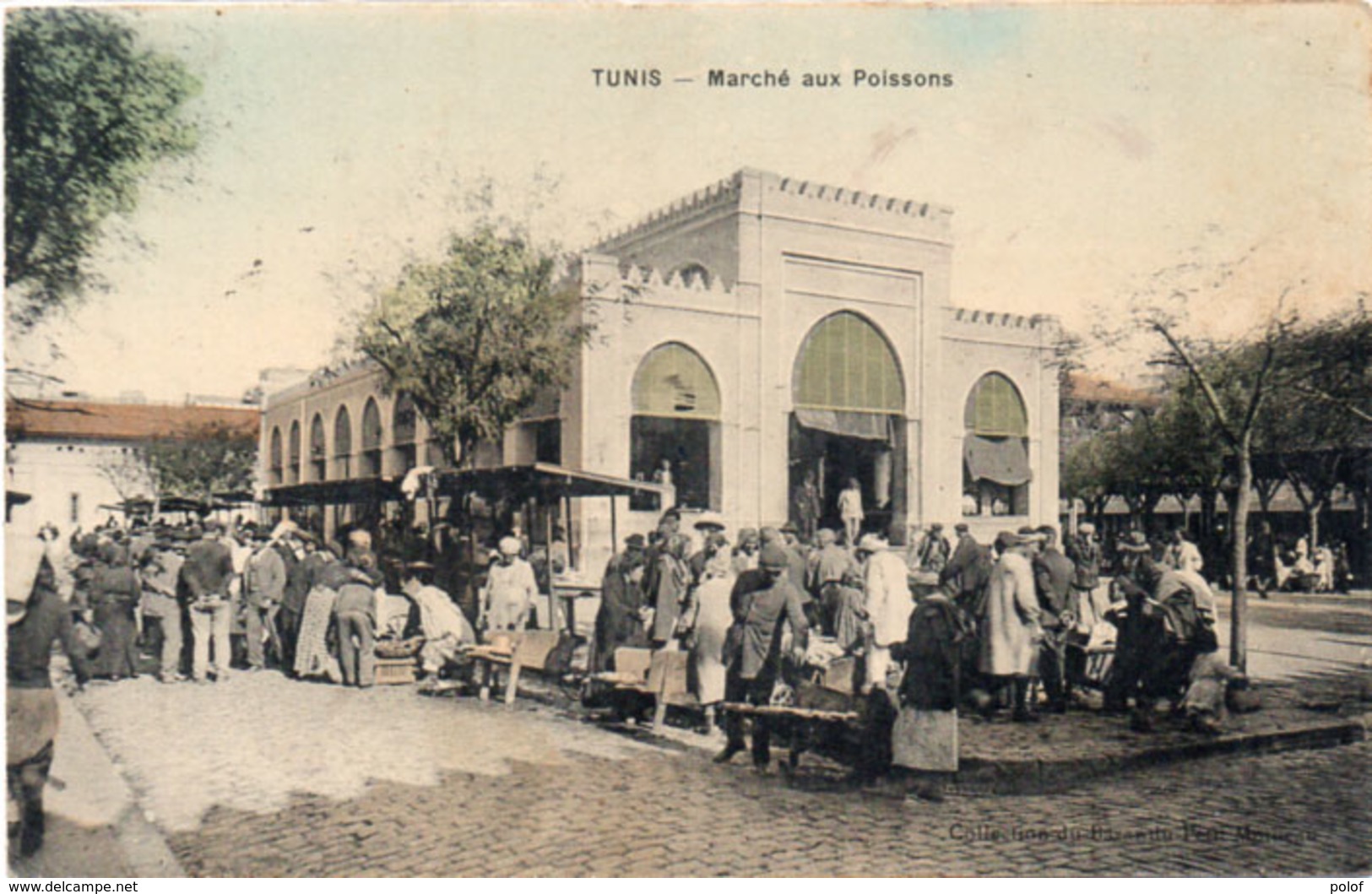 TUNIS -Marché Aux Poissons - Cachet Militaire : 116° Rgt D' Infanterie    (107127) - Tunisie