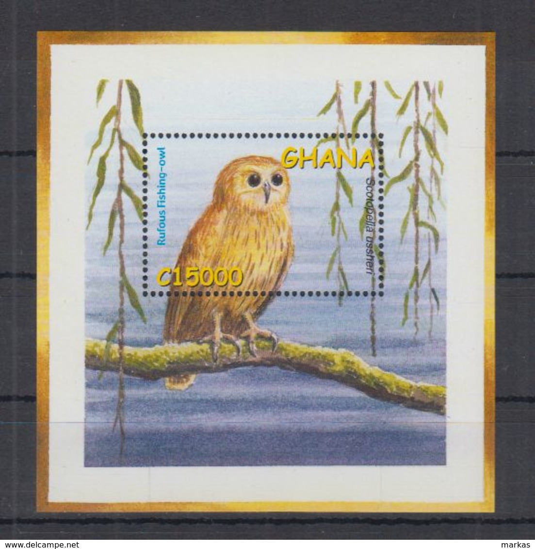 C77. MNH Ghana Nature Animals Birds Owls - Hiboux & Chouettes