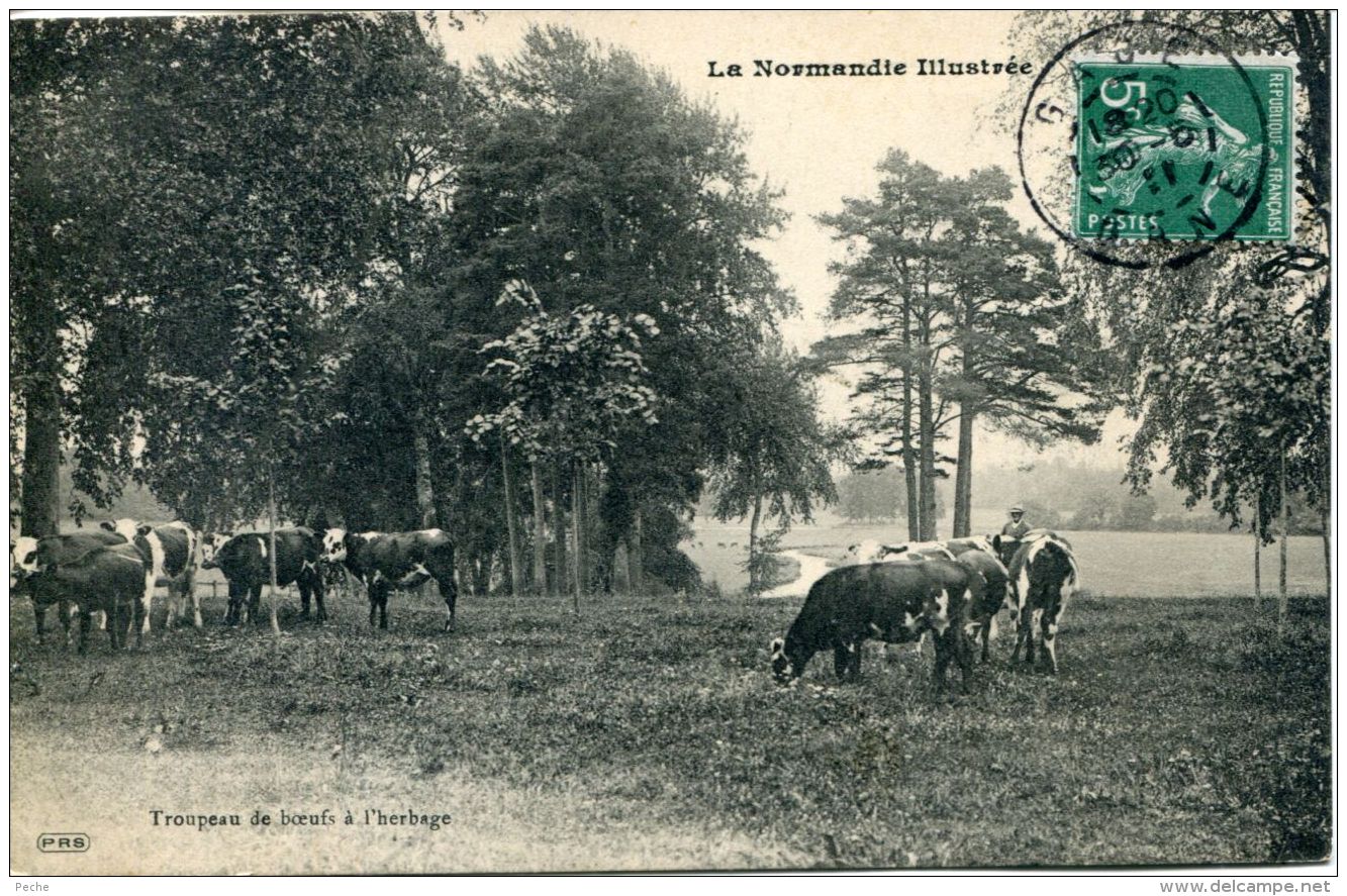 N°1370 A -cpa La Normandie Illustrée -troupeau De Boeufs à L'herbage- - Elevage