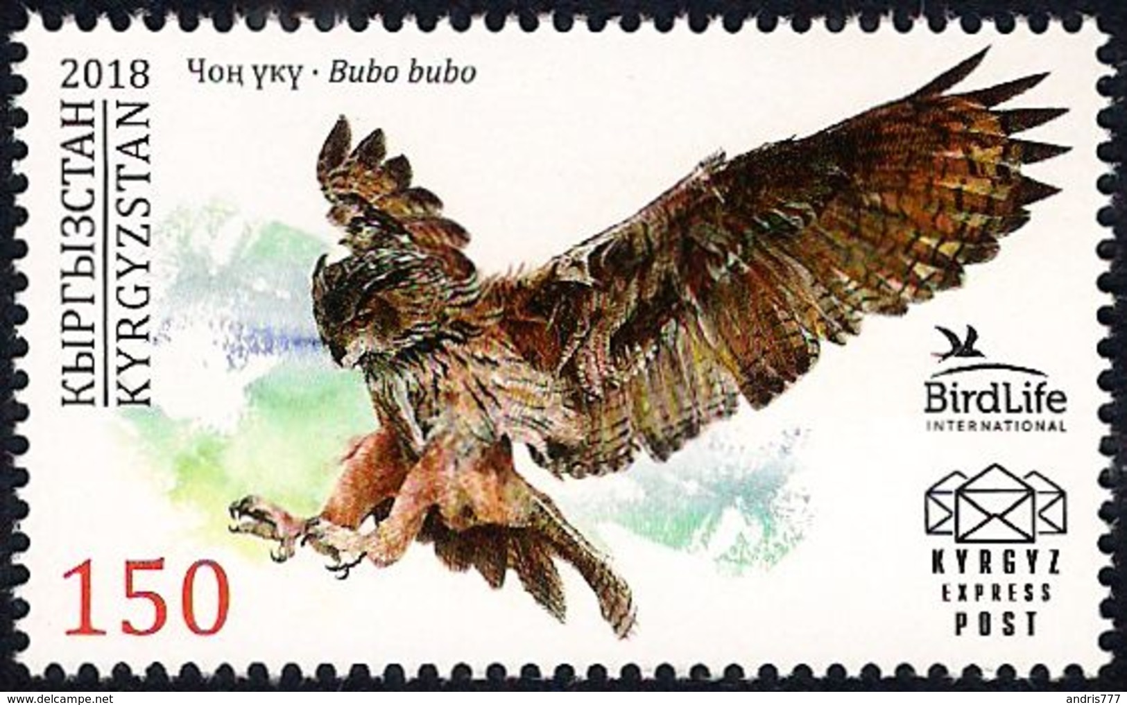 Kyrgyzstan 2018 Bird Eagle - Owl - Hiboux & Chouettes