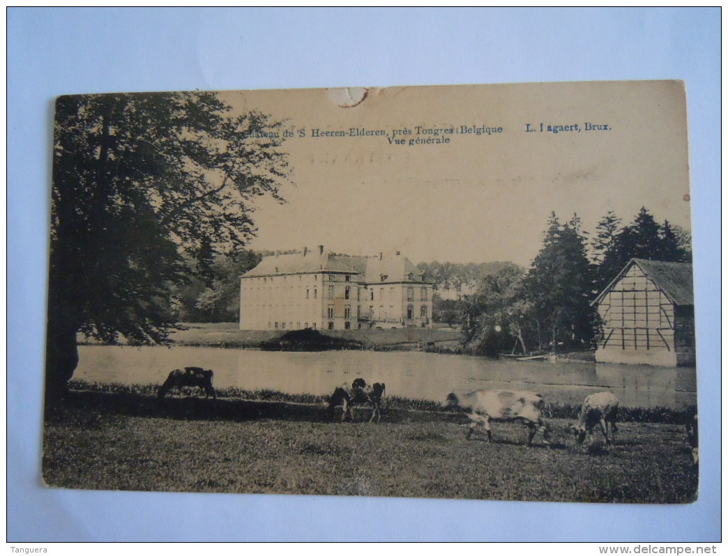 Château De 'S Heeren-Elderen, Près De Tongres Belgique Vue Générale L. I Agaert Brux - Tongeren