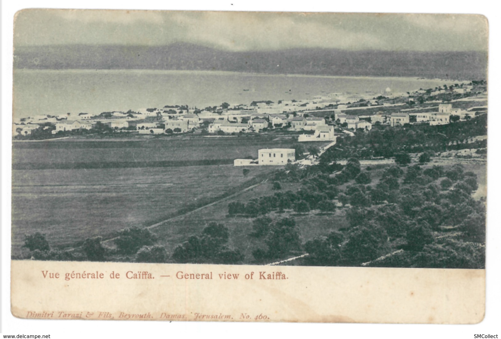 Caïffa, Vue Générale (3754) - Israel
