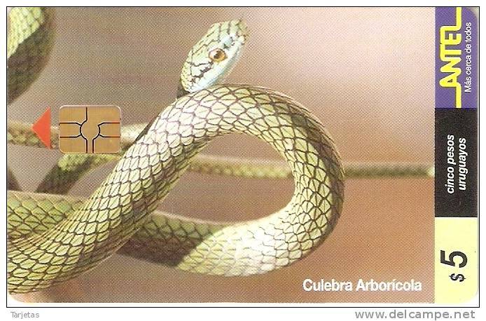 Nº 87 TARJETA DE URUGUAY DE UNA CULEBRA ARBOLICOLA (SNAKE) - Otros & Sin Clasificación