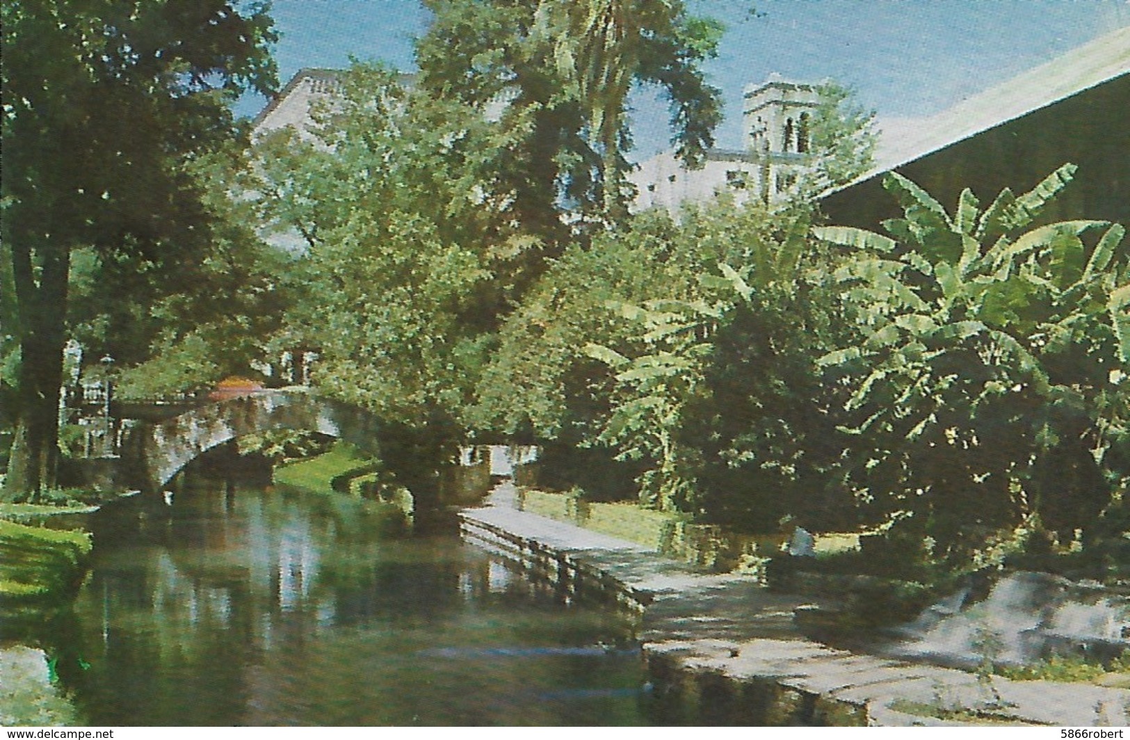 CARTE POSTALE ORIGINALE DE 9CM/14CM : SAN ANTONIO RIVER SAN ANTONIO TEXAS  USA - San Antonio