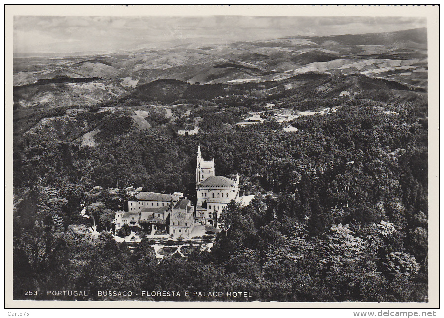 Portugal - Bussaco - Floresta E Palace Hotel - Coimbra