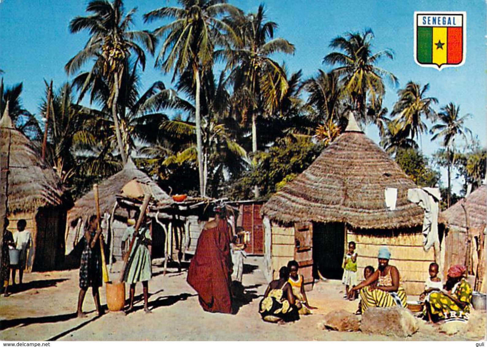 Afrique -SENEGAL  Village De Casamance ( Editions :A.D.P  Dakar 5649) *PRIX FIXE - Sénégal