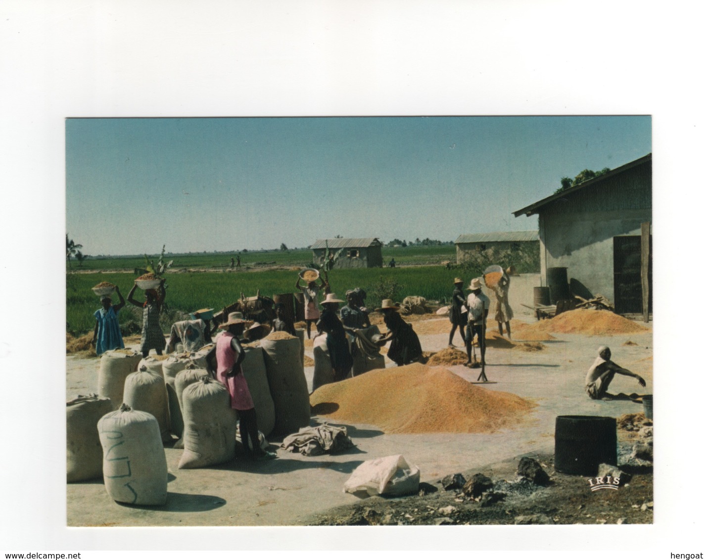 Carte Postale N° 7933  " Scène De Marché " , Neuve - Haïti