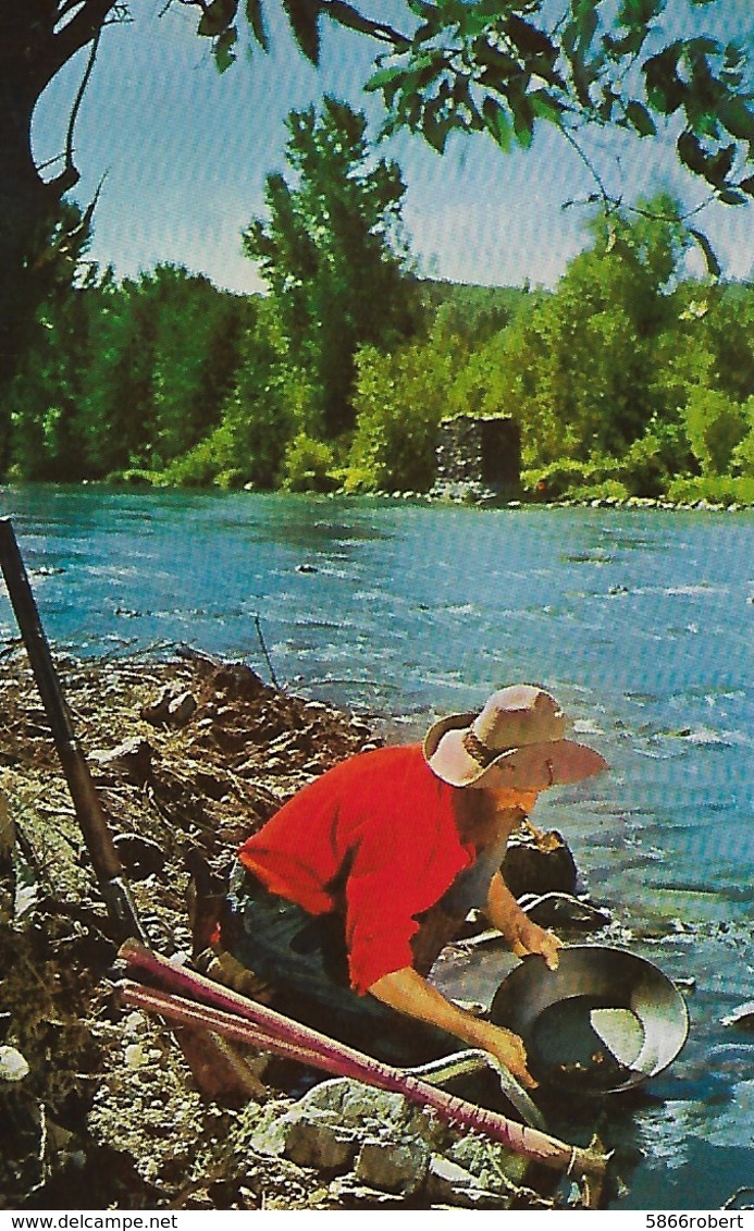 CARTE POSTALE ORIGINALE DE 9CM/14CM :  GOLD PROSPECTEUR COLORADO SPRINGS  USA - Colorado Springs