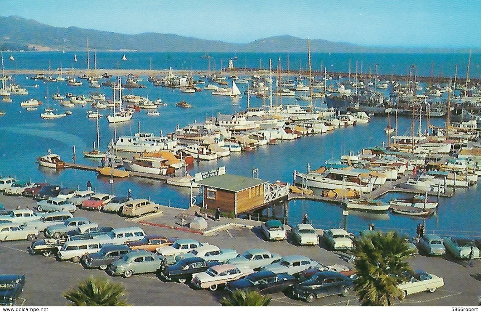 CARTE POSTALE ORIGINALE DE 9CM/14CM : OVERLOOKING THE YACHT HARBOR  SANTA BARBARA CALIFORNIA USA - Santa Barbara