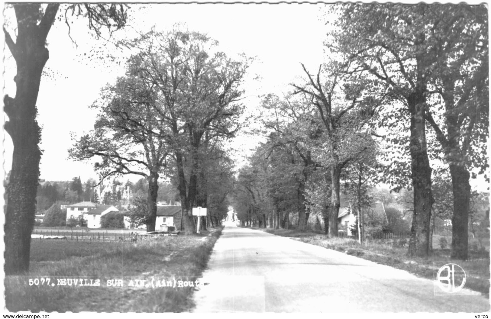 Carte Postale Ancienne De NEUVILLE SUR AIN- - Non Classés