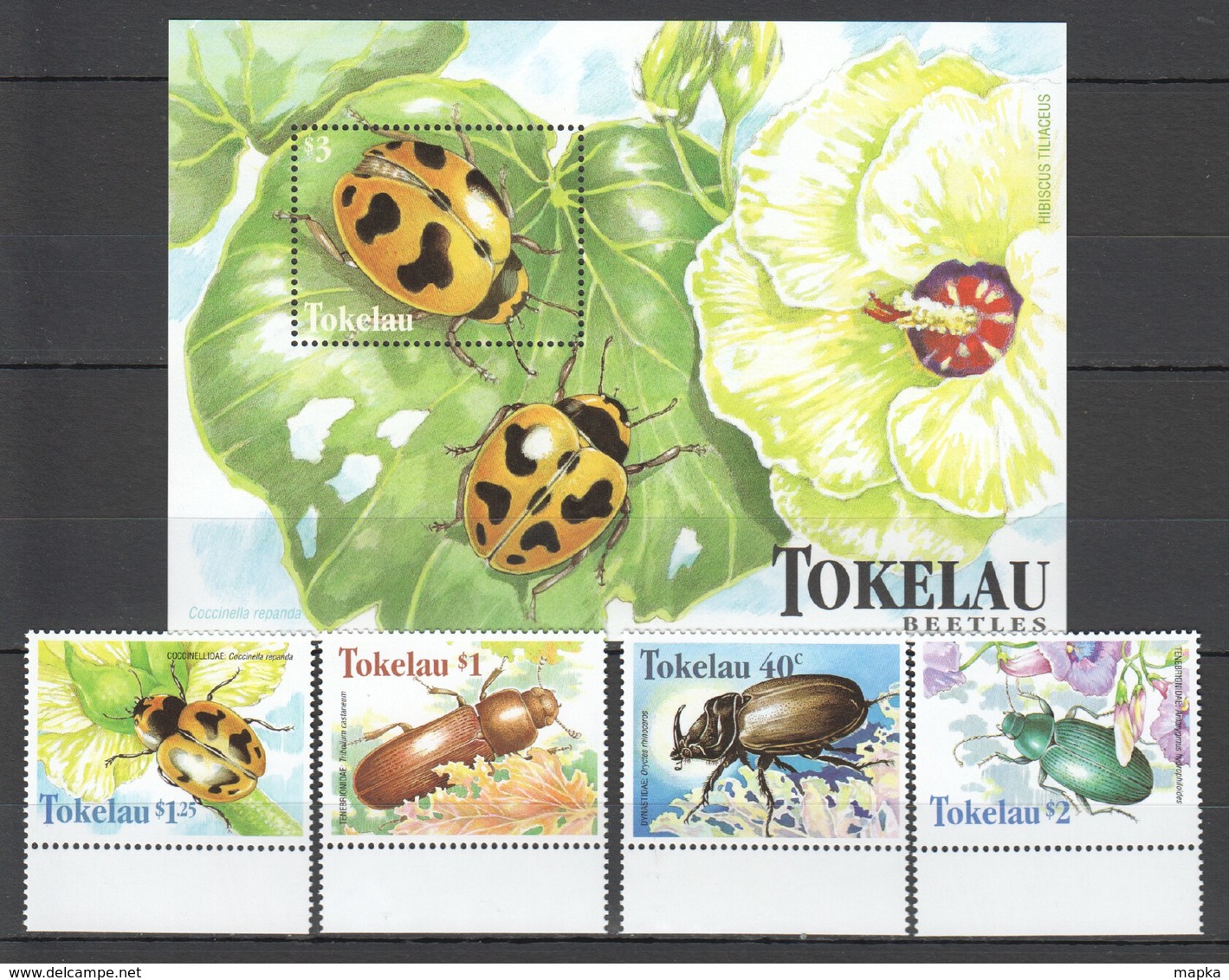 F025 TOKELAU INSECTS BEETLES 1BL+1SET MNH - Sonstige & Ohne Zuordnung