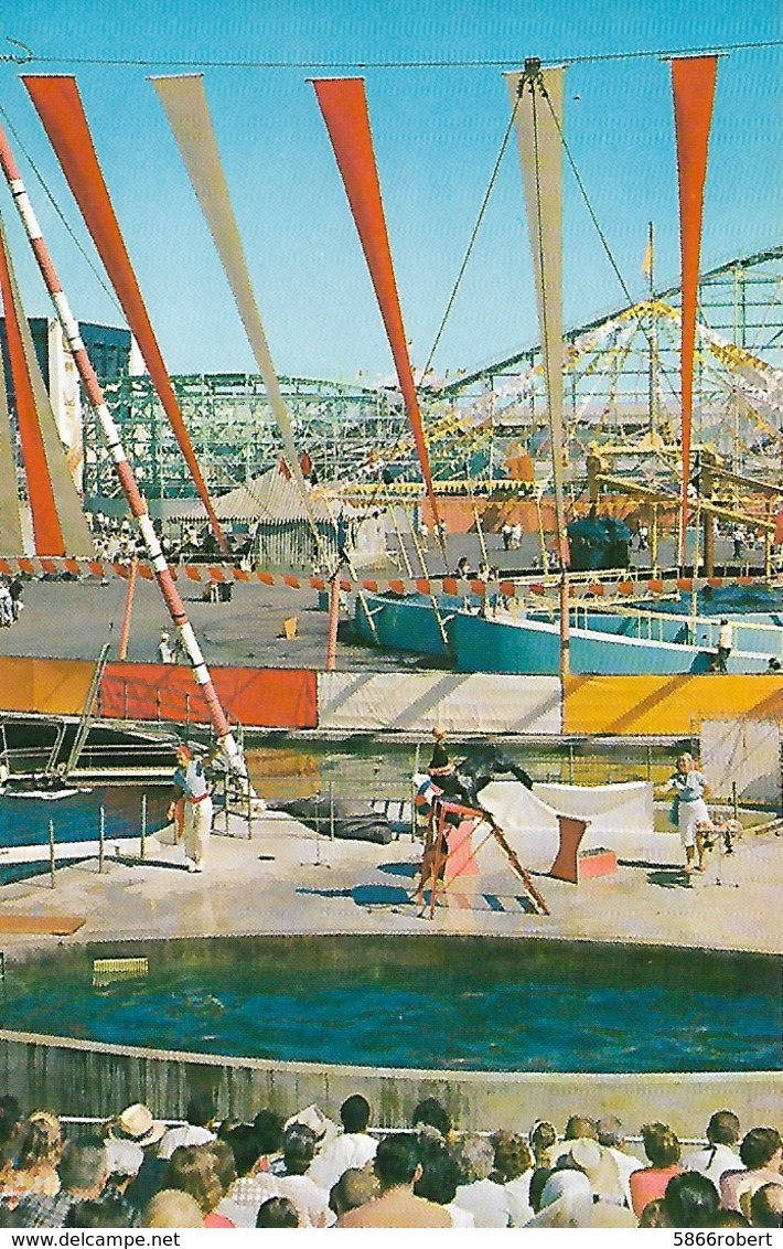 CARTE POSTALE ORIGINALE DE 9CM/14CM : THE SEA CIRCUS PACIFIC OCEAN PARK SANTA MONICA CALIFORNIA USA - Autres & Non Classés