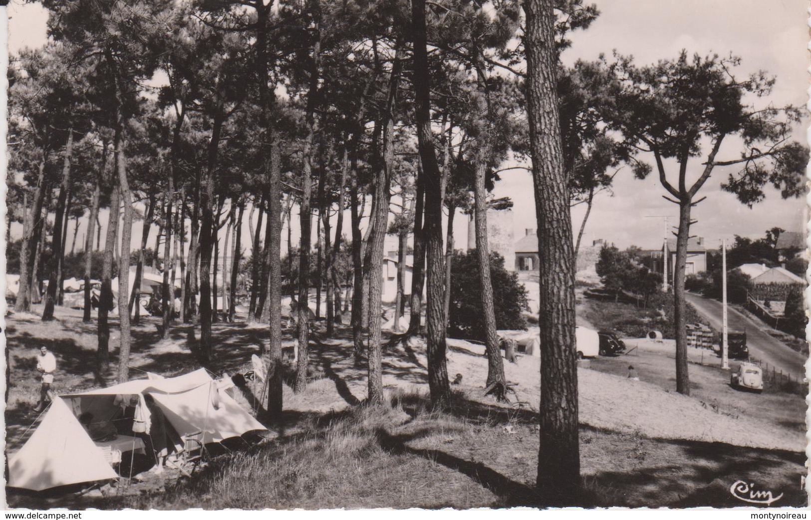 Vendée : LA  TRANCHE  Sur  MER  :  Camping  Sous  Les  Pins - La Tranche Sur Mer