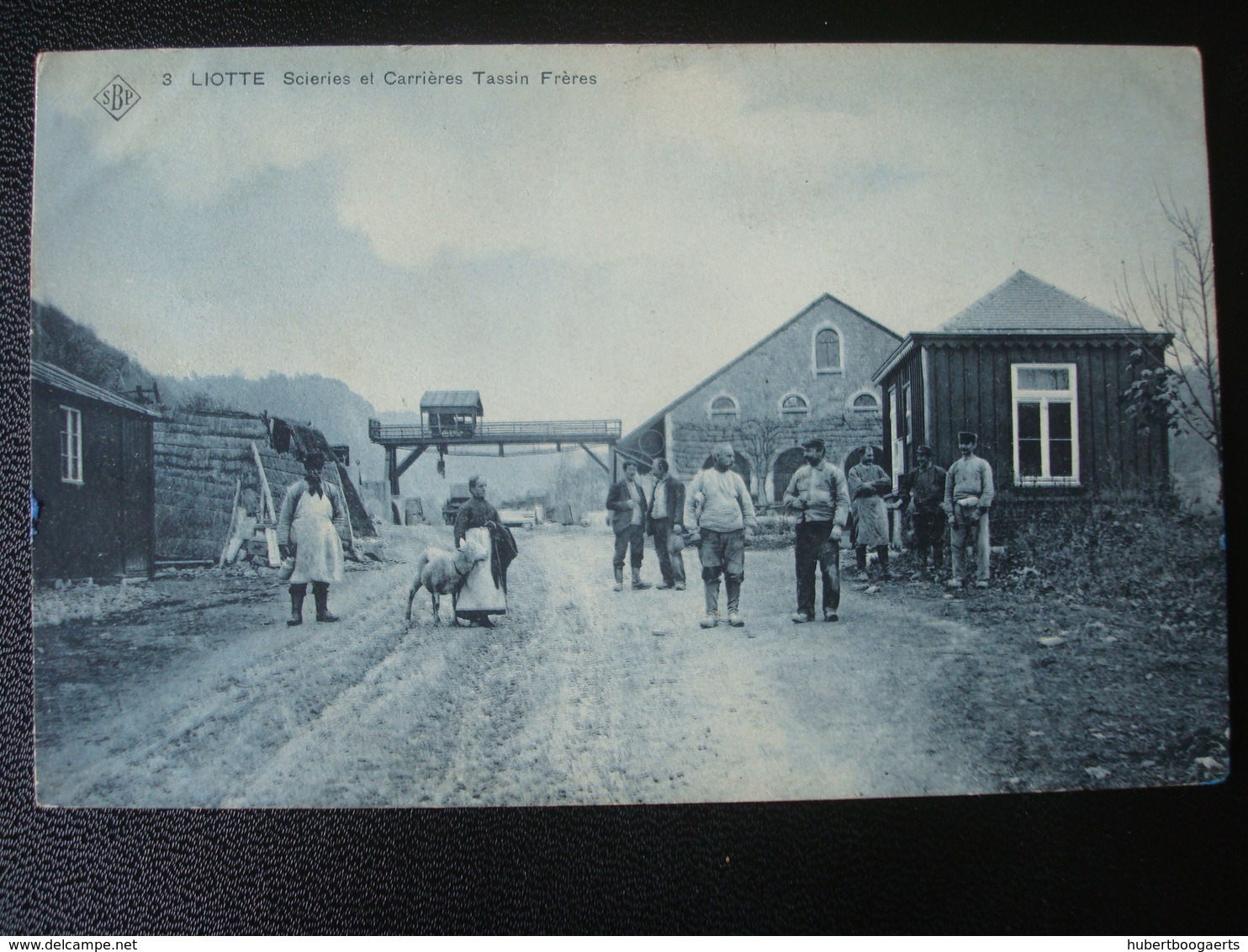 LIOTTE : Scieries Et Carrières TASSIN Frères En 1910 - Sprimont