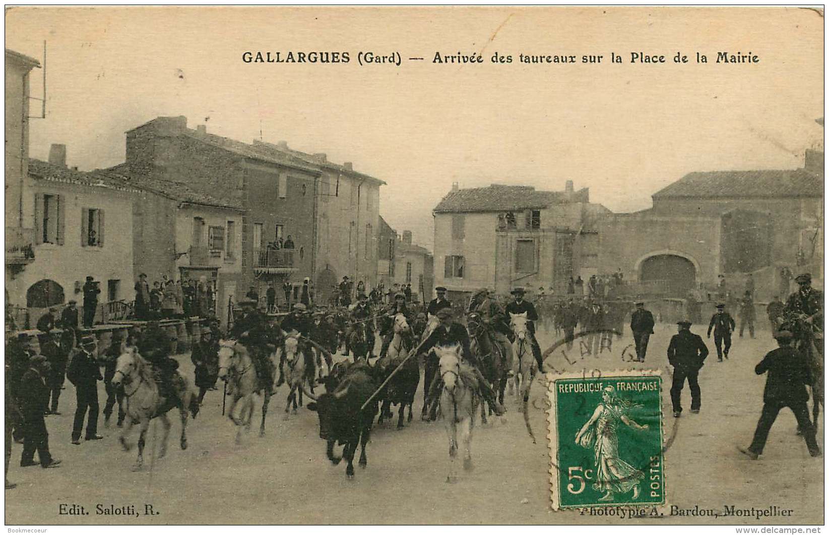 30   GALLARGUES  ARRIVEE DE TAUREAUX SUR LA PLACE DE LA MAIRIE - Gallargues-le-Montueux