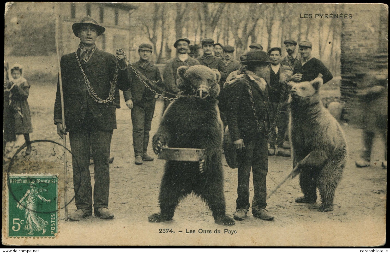 Let Cartes Postales - CP Gros Plan LES OURS Du PAYS, Barèges 20/7/1912, TB - Unclassified