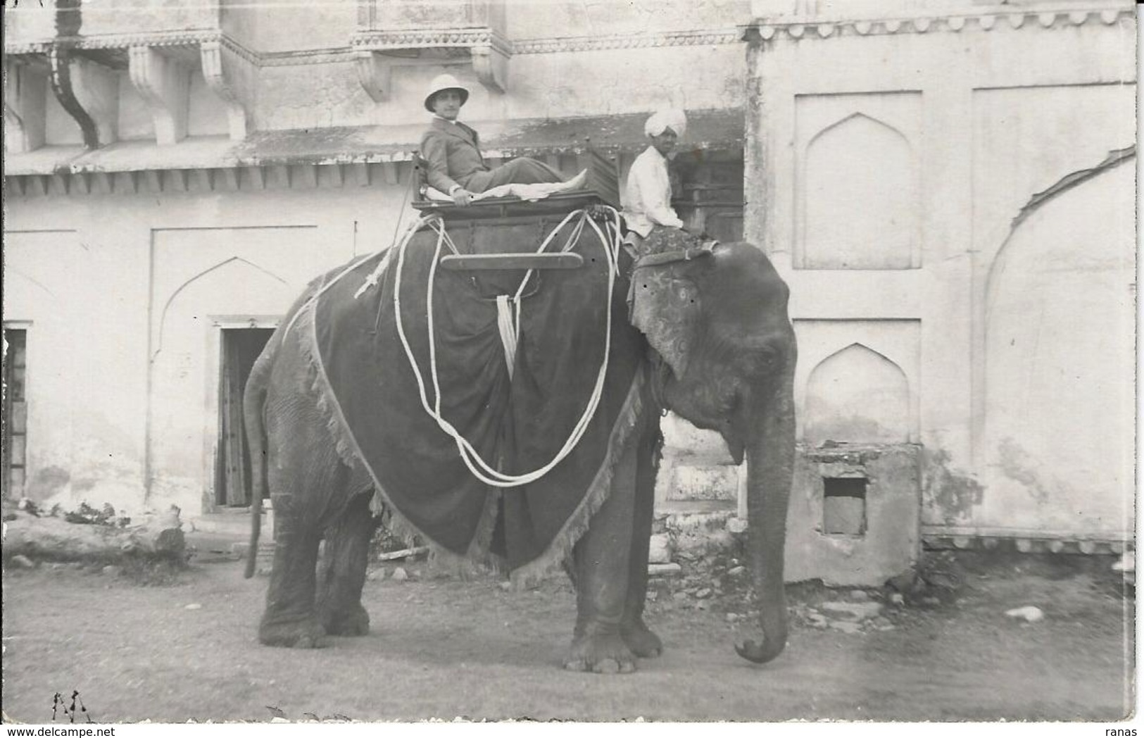 CPA éléphant ELEPHANT Non Circulé Inde India Asie Carte Photo RPPC - Elefanten