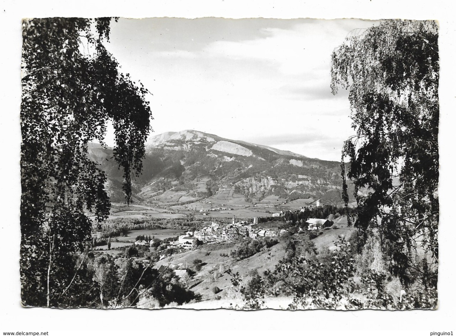 Seyne-les-Alpes Vue Générale - Autres & Non Classés