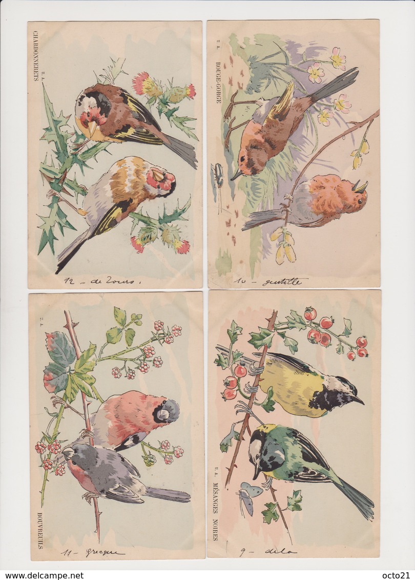 Série De 12 Cpa Dessinées( Martins-pécheurs, Mésanges,bruants,bergeronnettes, Pinsons,verdiers,lavandières...) - Oiseaux