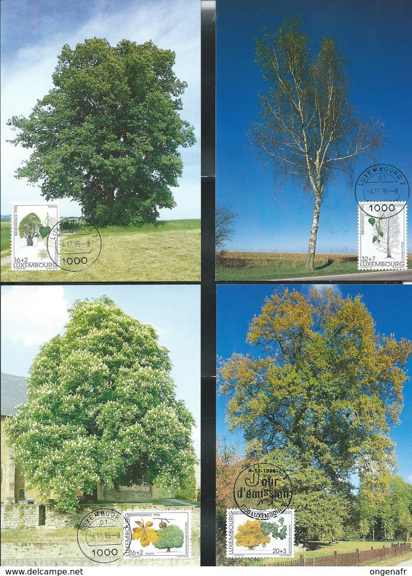 Prifix 2009 N° 1330/33  (Michel: 1380/3)  Arbres: Tilleul - Marronnier - Chêne - Bouleau - Maximumkarten