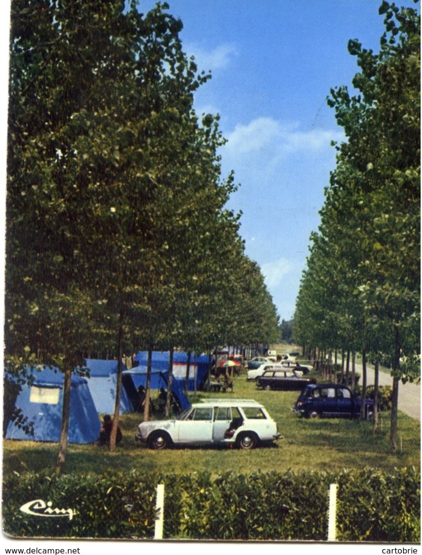 64 SAINT-PALAIS - Le Camping "Ur Alde" - Voitures Anciennes - Saint Palais