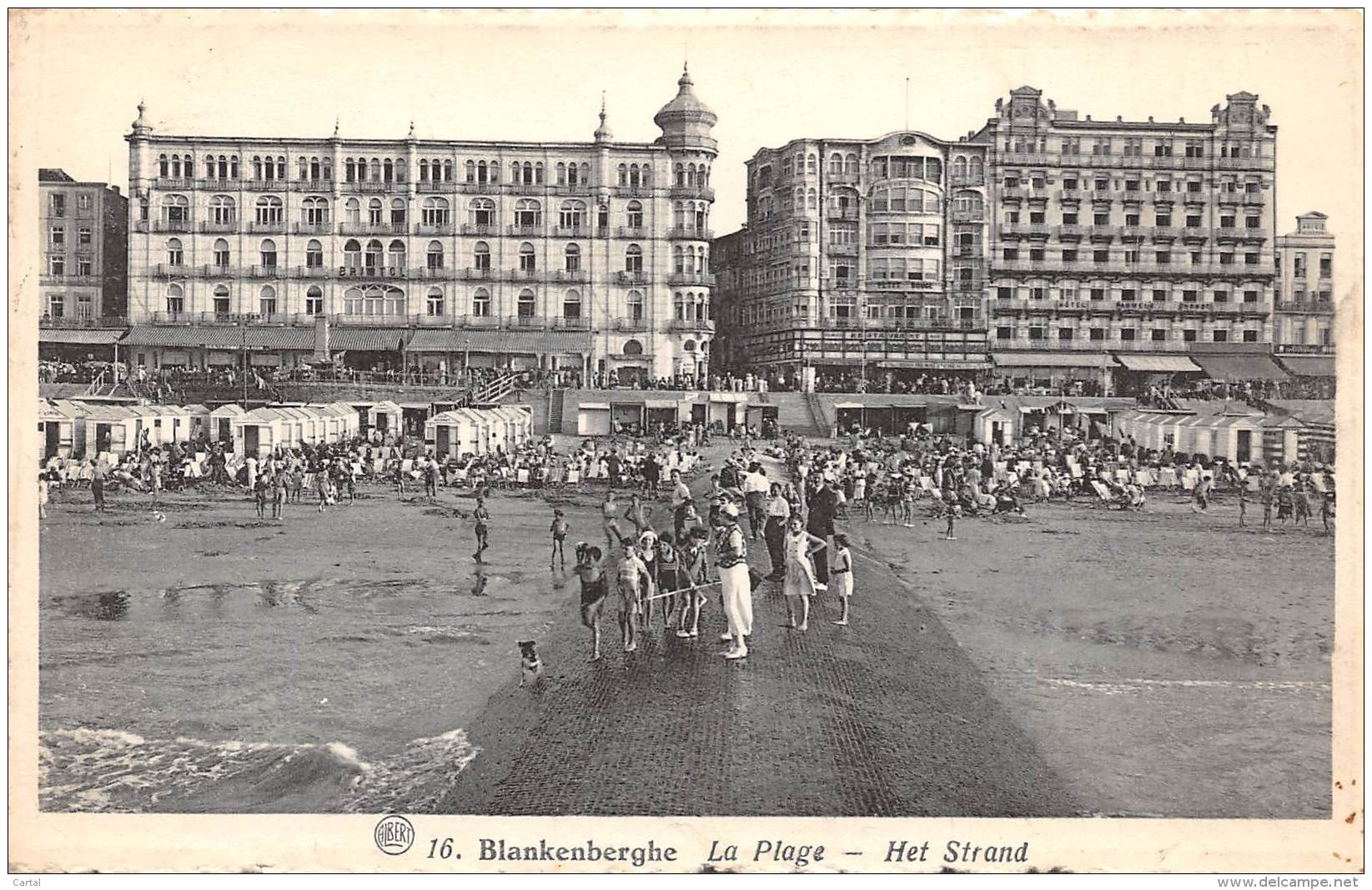 BLANKENBERGHE - La Plage - Het Strand - Blankenberge