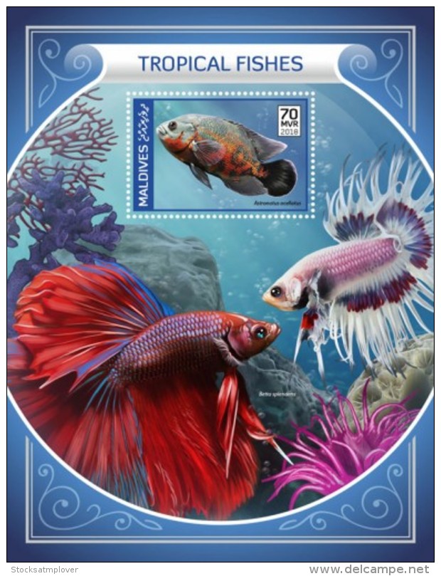 Maldives 2018 S201805 Tropical Fishes MS - Maldives (1965-...)