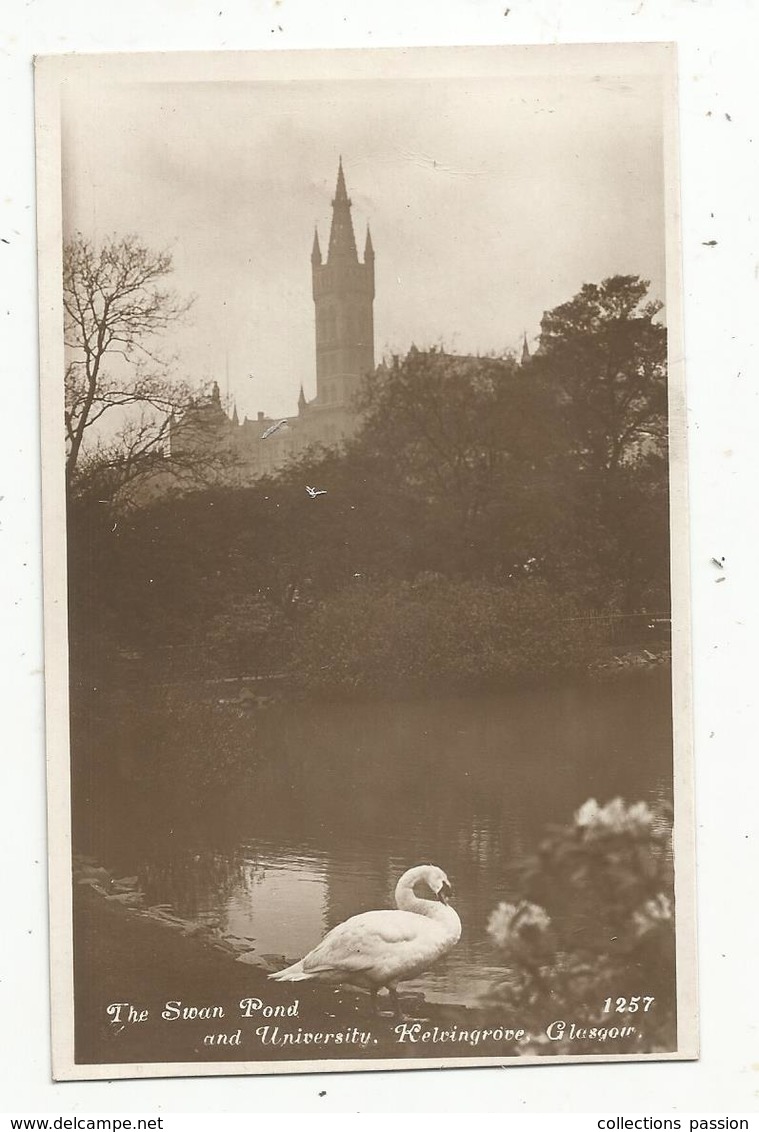 Cp , ECOSSE, Kelwingrove ,Glasgow , The Swan Pond And University , Vierge , Ed. Davidson's Real Photographic Series - Lanarkshire / Glasgow