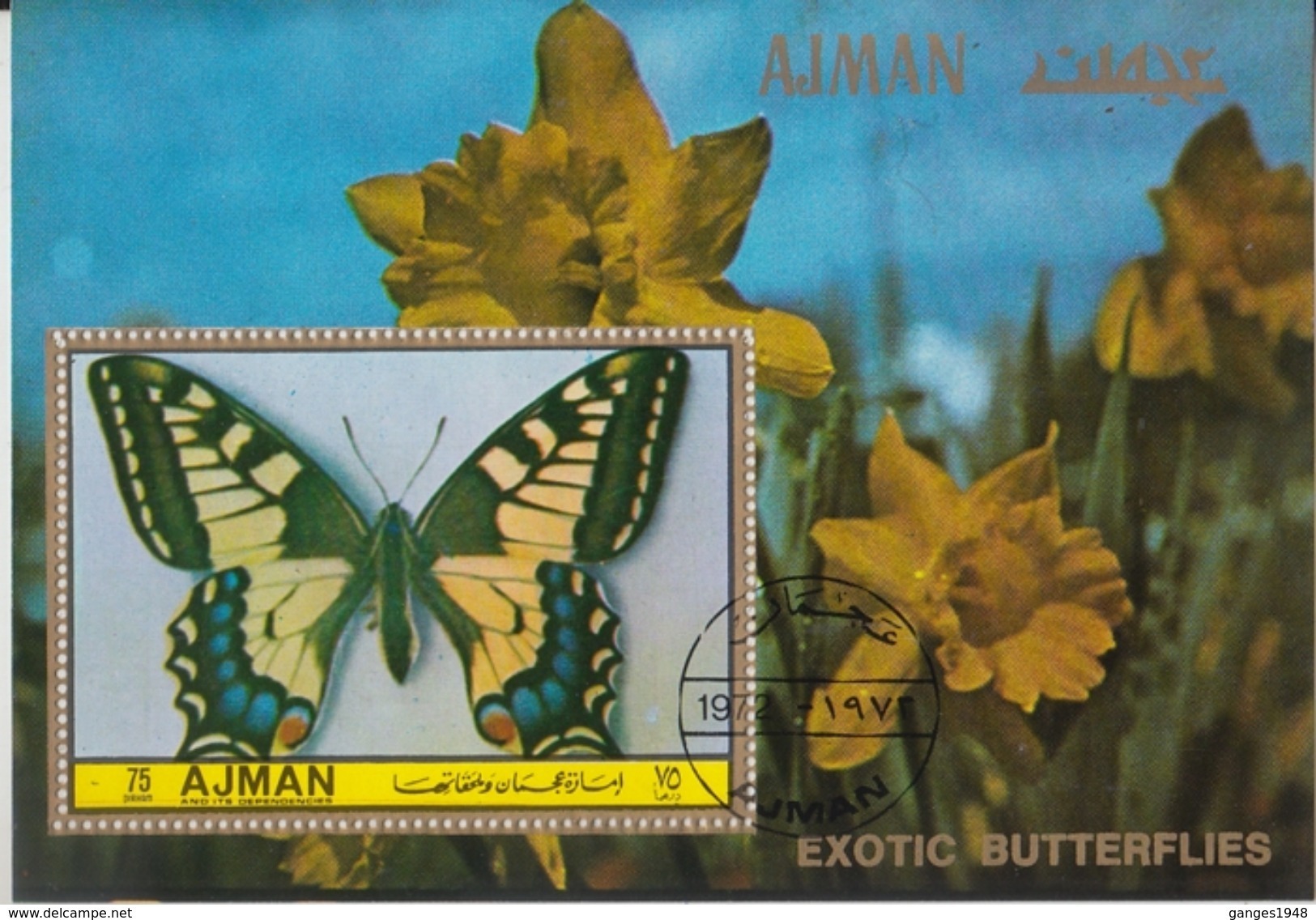 Ajman  Middle East   Butterflies  Papillons  Insects  Fauna Cto Used M/S   #08674sd - Schmetterlinge