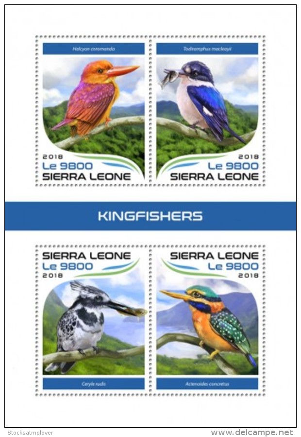 Sierra Leone 2018 Kingfishers - Sierra Leone (1961-...)