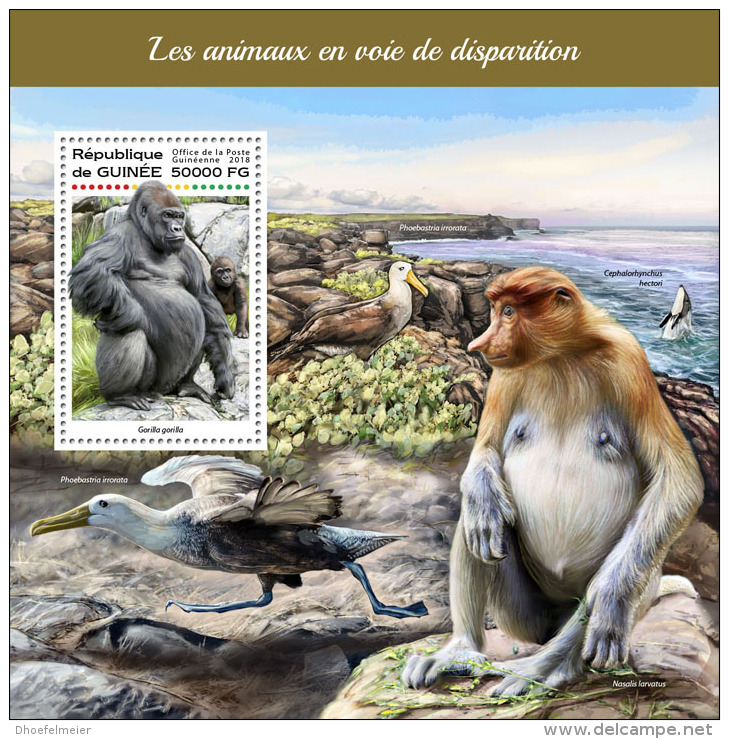 GUINEA REP. 2018 MNH** Gorillas Endangered Animals S/S - IMPERFORATED - DH1823 - Gorilles