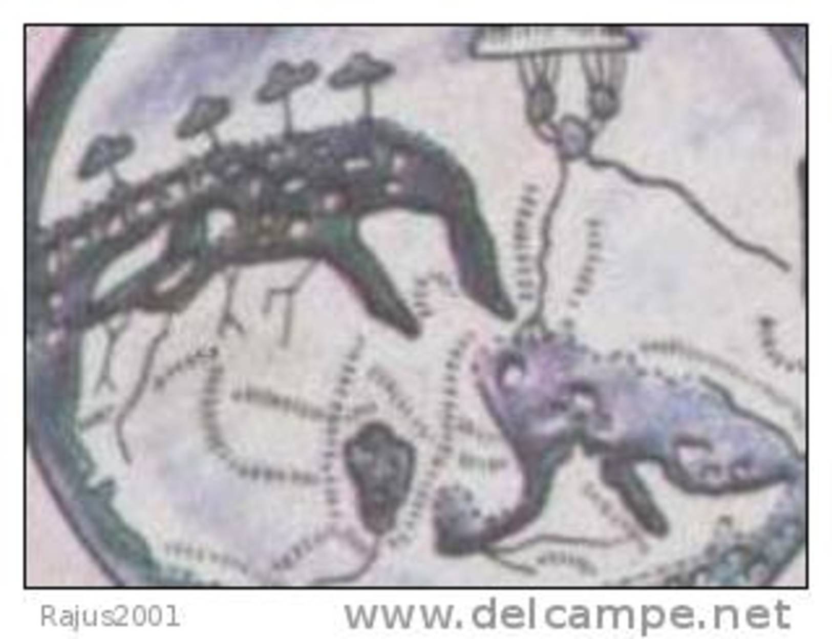 Al Jahiz  Zoology, Map, Writer, Lexicography, Horse, Lion Elephant, Tabula Rogeriana Drawn By Al-Idrisi  MNH Qatar - Otros & Sin Clasificación