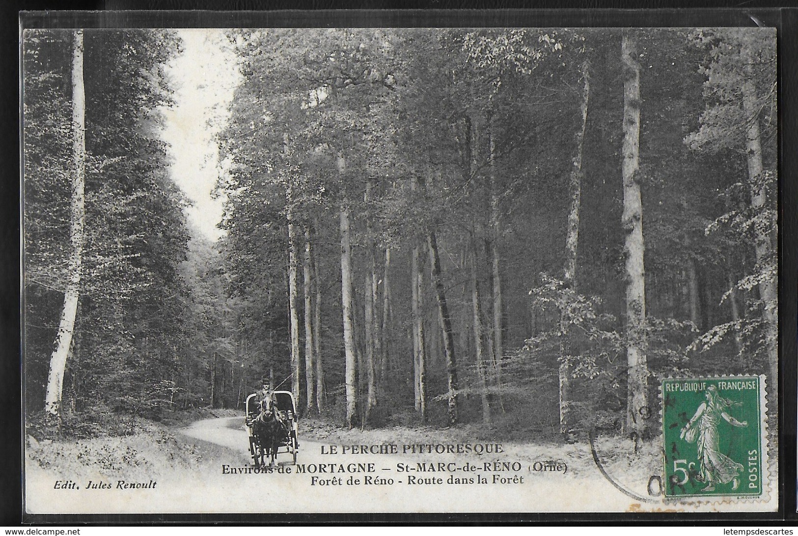 CPA 61 - Saint-Marc-de-Réno, Forêt De Réno - Route Dans La Forêt - Autres & Non Classés